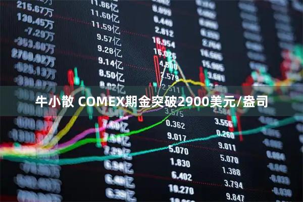 牛小散 COMEX期金突破2900美元/盎司